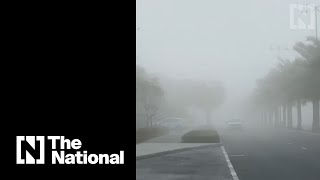 Dense fog blankets parts of the UAE