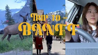 [Travel - Vlog] Trip to Banff, Canada | Canada | Banff | 캐나다 밴프 | 레이크루이스 | 모레인레이크 | 나홀로여행