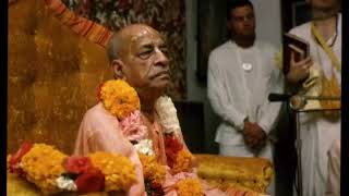 Prabhupada 0191 Nadzirati Kṛṣṇo takšno je življenje v Vṛndāvani