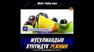 Мусулмандын күнүмдүк режими! Шейх Чубак ажы