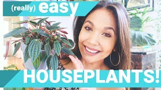 Best Houseplants for Beginners | Top 5 Easiest Houseplants