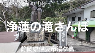 静岡さんぽ 浄蓮の滝さんぽ【静岡県伊豆市湯ヶ島】2024/3 滝さんぽ