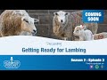 episode 2 getting ready for lambing