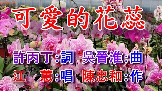 可愛的花蕊(江蕙)A.mp4