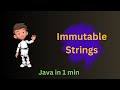 Why Strings are Immutable in Java? | Animated Explanation