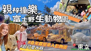 👨‍👩‍👧親梓橦樂✈️東京富士野生動物園  #自駕露營車入動物園 #長頸鹿伸個頭埋車窗 #超可愛水豚