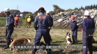 日本救助犬協会