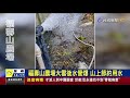 衝一波 追雪完改追花武陵農場梅花盛開