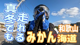 真冬でもツーリング。和歌山 有田みかん海道を走る