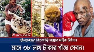 প্রতি মাসে ৩৮ লাখ টাকার গাঁজা সেবন করে হুইলচেয়ারে মাইক টাইসন! | Mike Tyson