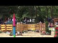 wawe weltmeisterschaft working equitation 2018 speed thomas türmer on orlando