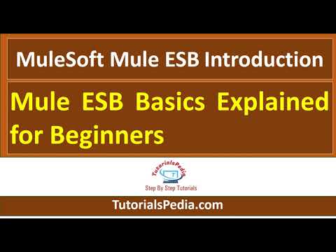 MuleSoft Mule ESB Introduction | Mule ESB Basics Explained For ...