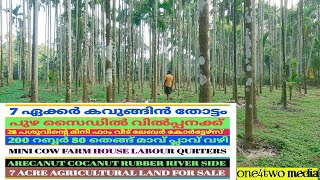 7 ഏക്കർ കവുങ്ങിൻ തോട്ടവും ചെറിയ പശു ഫാമും പുഴ സൈഡിൽ വിൽപ്പനക്ക് #realestate