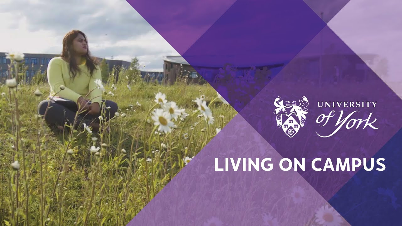 Living On Campus Youtube