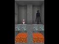 saving carrie vs enderman