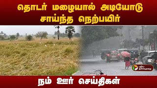 தொடர் மழையால் அடியோடு சாய்ந்த நெற்பயிர் | நம் ஊர் செய்திகள் | TN Rains