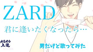 ZARD/君に逢いたくなったら… 春の胸キュンソングカバー野郎祭り