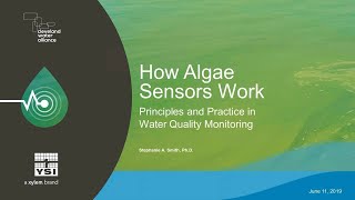 YSI Webinar | How Algae Sensors Work