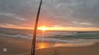 Flathead and Salmon Fishing on the Far South Coast