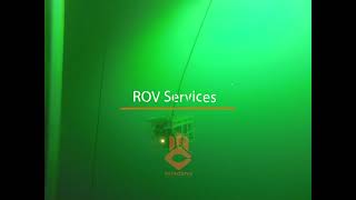 ROV SERVICES - PETRODIVE