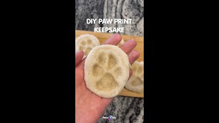 Gift for Dog Lovers: DIY Paw Print Keepsake