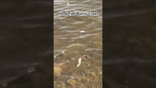 Hand Tied Bunny Crawl