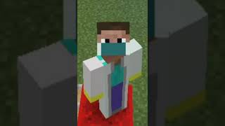 3 Crazy Things To Do in Minecraft