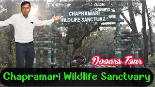 Chapramari Forest | Chapramari Railway Station Track \u0026 Wildlife | Wildlife Sanctuary |Dooars Tour