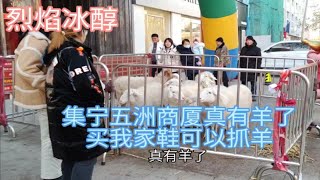 内蒙古乌兰察布市集宁五州商厦，真有羊了，买我家鞋可以抓羊