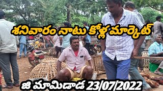 Saturday Nattukolla market || శనివారం నాటు కోళ్ల మార్కెట్ || Kollamaket 23 July 2022