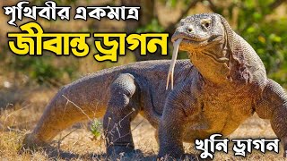 পৃথিবীর সবচেয়ে বড় টিকটিকি। কমোডো ড্রাগন। Komodo Dragon  Village And Animal Life.