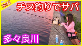 【初心者釣り2022】多々良川の河口でチヌ釣りしてたらまさかのサバが釣れた【今だけ？】