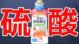 【水質調整剤】エプソムソルトって知ってる？入れるだけで金魚が強くなる液体。GEX 金魚元気ケアウォーター【ふぶきテトラ】