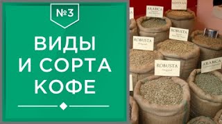 Виды и сорта кофе | Какие они бывают и сколько их существует ☕