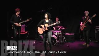 Bloodhound Gang - The Bad Touch - Cover by Brize