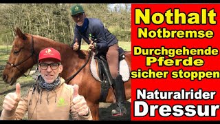 Ganze NOT Parade Reiten DURCHGEHENDE Pferde sicher Stoppen Durchparieren in einer Notsituation