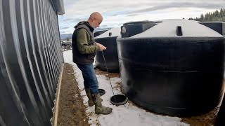 GARLIC BULBILS, VOLE CONTROL \u0026 OPENING OUR LAST RAINWATER STORAGE TANK