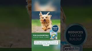 Product Unboxing \u0026 Review: DentaLife Purina Bundle Pack for Small Breeds