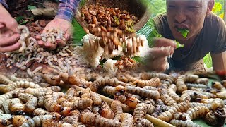 Lots of woodworm from the forest, cooking and eating