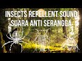 insect repellent sound