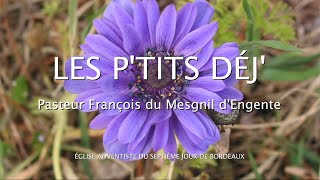 175 - Les P'tits déj' spirituels - Avec quoi me présenterai je devant Dieu - Michée 6.6-7