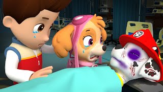 WHAT HAPPENED?! Why Marshall Is In Hospital?| Paw Patrol The Mighty Movie || Rainbow 3