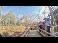 しあわせの村「bouken adventure park」vlog