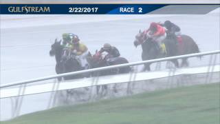 Gulfstream Park Race 2 | February 22, 2017