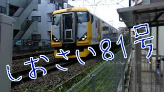 【総武本線】特急しおさい81号