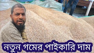 নতুন গমের পাইকারি দাম জানুন |রাজশাহী বানেশ্বর হাট।Gom price markit bangladesh