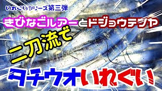 【太刀魚】タチウオいれぐい!きびなごルアーとドジョウテンヤの二刀流