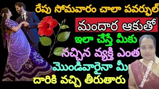 రేపు సోమవారం చాలా పవర్ఫుల్ మందార ఆకుతో ఇలా చేస్తే మీకు నచ్చిన వ్యక్తి ఎంత మొండివారైనా మీ దారికి..