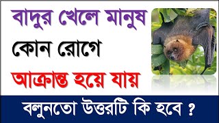 বাদুর খেলে কি রোগ হয়/Gk/Bangla Gk question and answer/Bangla GK/Gk Question/Bangla Gk question