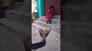 #snake baccho ko Marne Aaya naag 🐍 ab kyaa hoga baccho ka #shortvideos #snake #goneviral #shorts